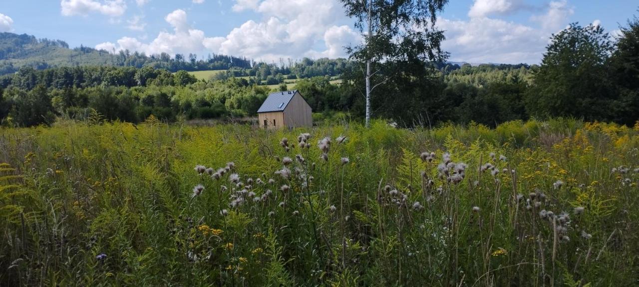 Dom Wsrod Gwiazd Villa Jarnoltowek Exterior photo